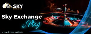 The Social Aspect of Sky Exchange: Connecting Gamers Worldwide